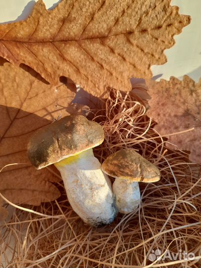 Подарок на новый год