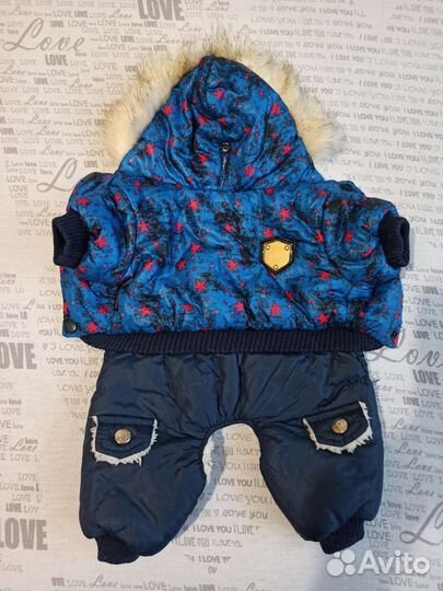 Одежда для маленьких собак s