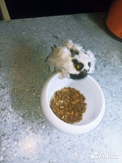 Птица игрушка ручной работы