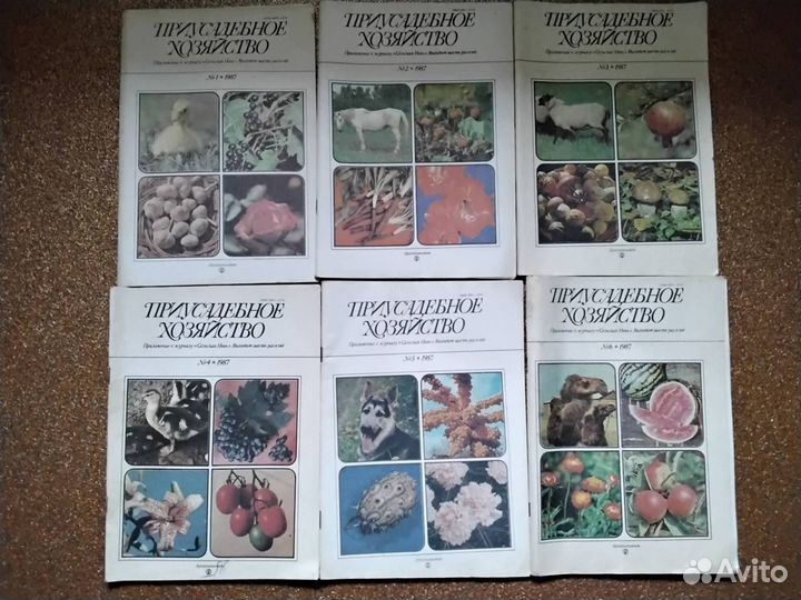 Журналы Приусадебное хозяйство 1987 год