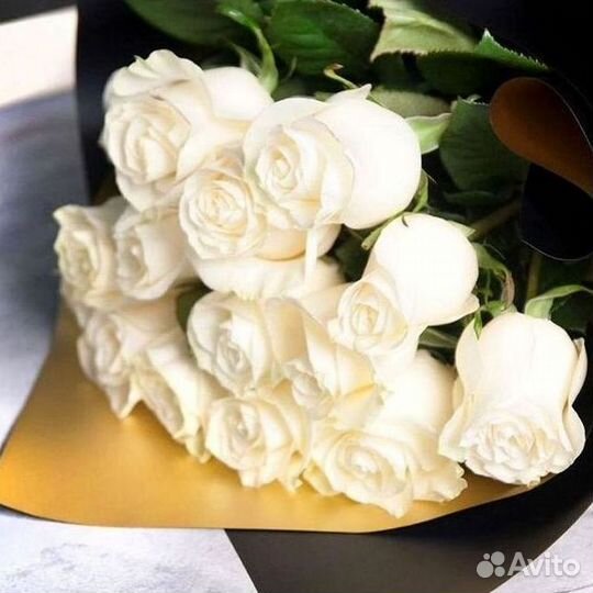 101 Роза Цветы Букеты 51 25 Роз Доставка