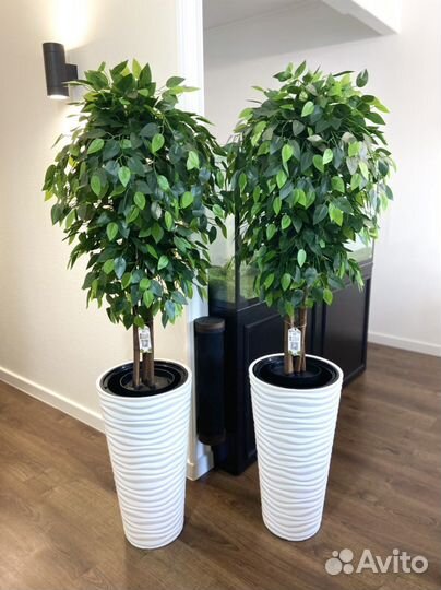 Искусственные растения / Деревья для офиса