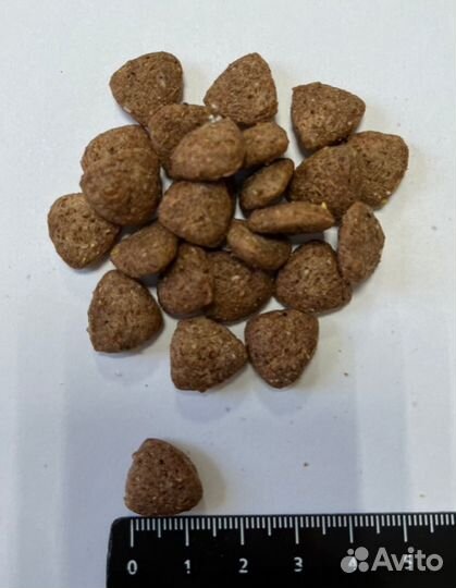 Корм Империал Холистик 10 кг индейка/кролик