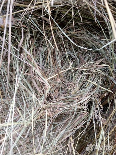 Сено в тюках