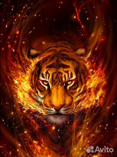 Картина по номерам 40x50 Огненный