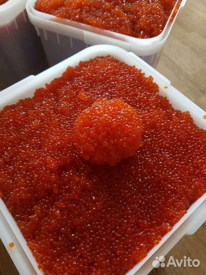 Икра Красная Кеты 2023г