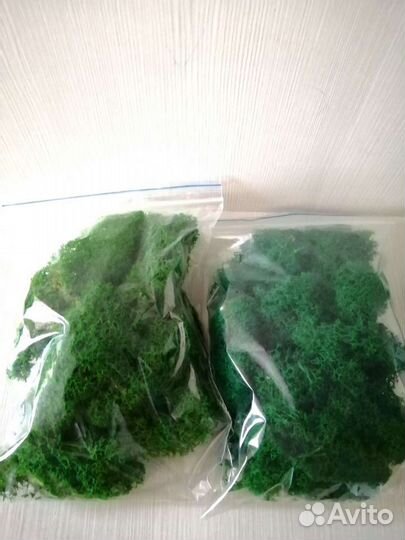 Стабилизированный мох