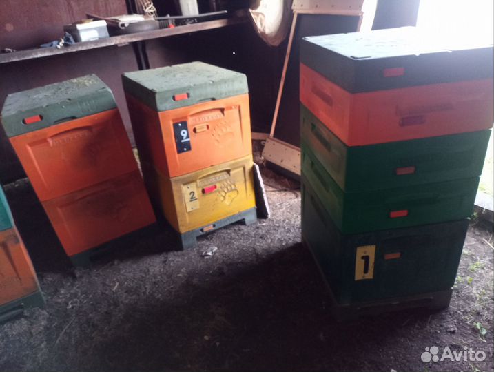 Улей для пчел ППУ Медведь