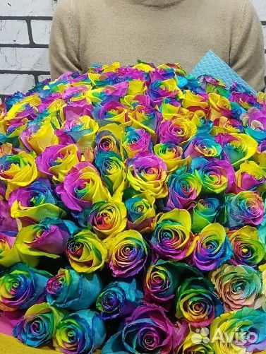 Радужные розы яркий цвет