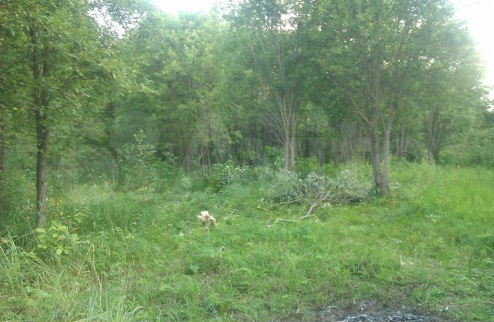 Участок 20 сот. (СНТ, ДНП)