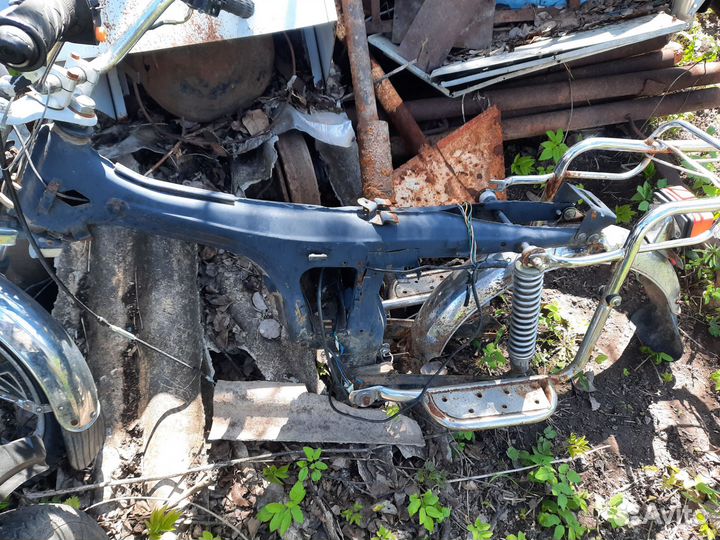 Альфа в разбор