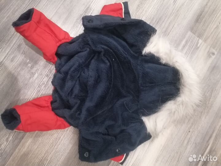 Одежда для маленьких собак зимняя