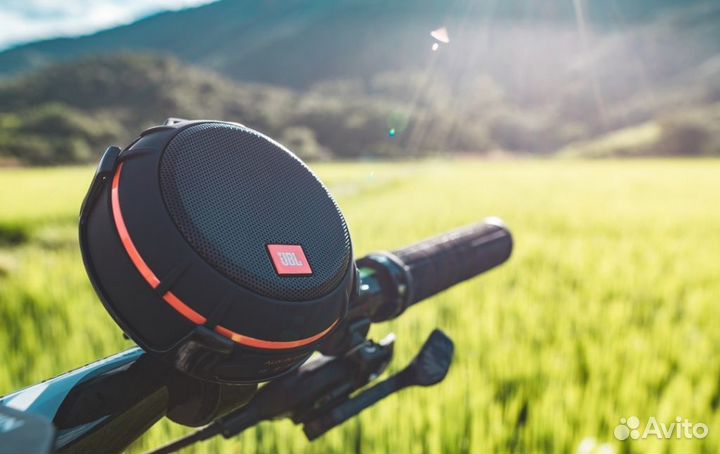 Портативная колонка JBL Wind 2