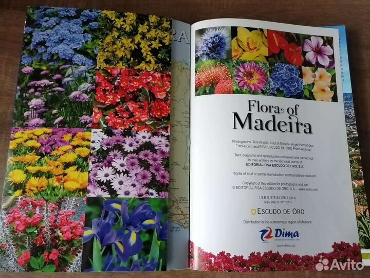 Flora of Madeira (Флора Мадейры), на англ. яз