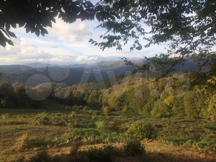 Участок 4,1 сот. (СНТ, ДНП)