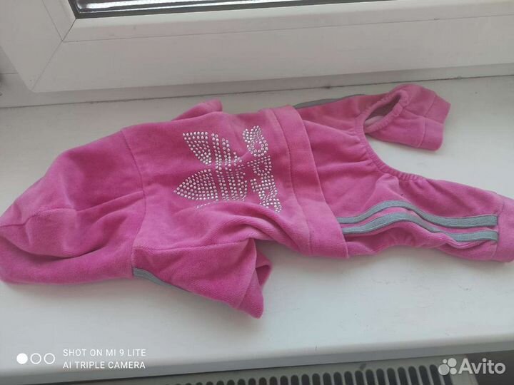 Одежда для маленьких собак