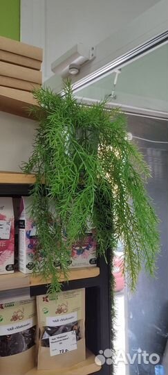 Искусственные цветы