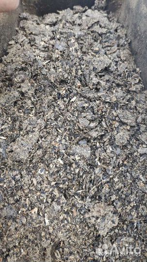 Жмых подсолнечный