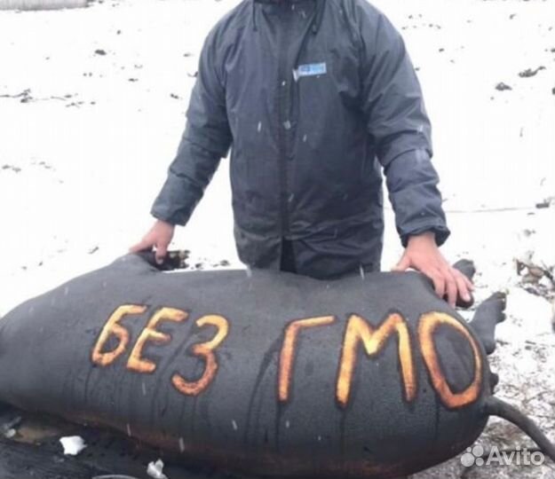 Мясо свинина домашнее