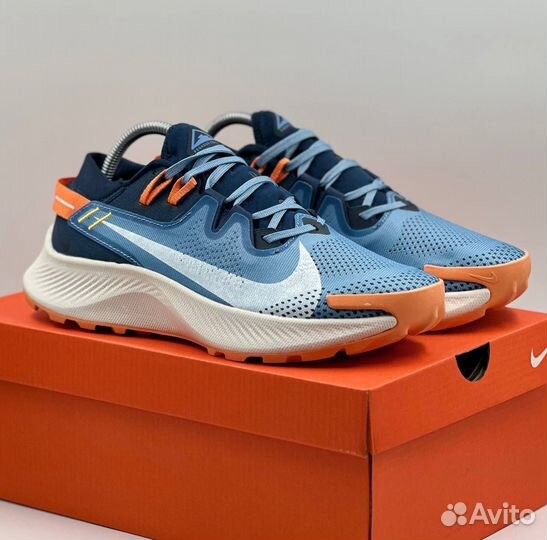 Кроссовки Nike Pegasus Trail 2 мужские p-8596