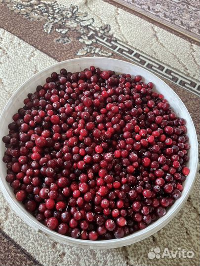Картофель свежий
