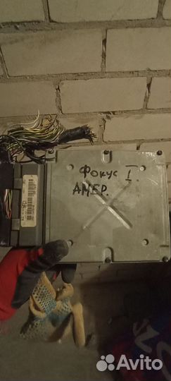 Блок эбу мозги фокус 1 америка