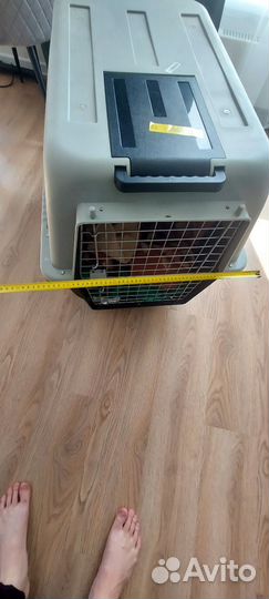 Контейнер для перевозки собак