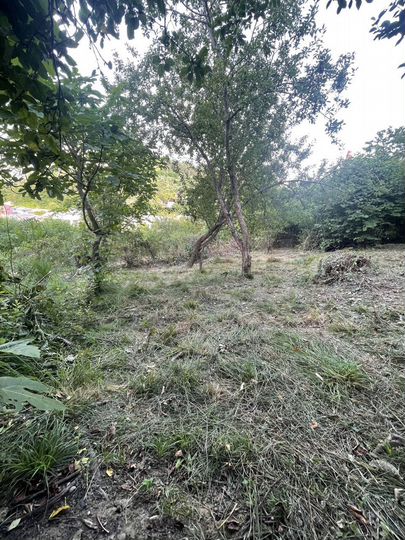 Участок 5,7 сот. (СНТ, ДНП)