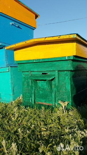 Домики для пчел