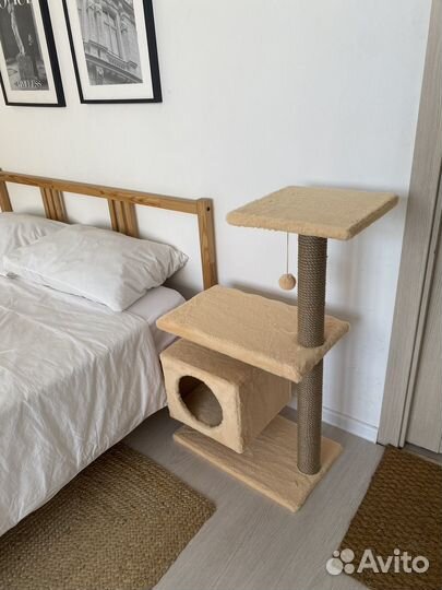 Футуристичная когтеточка для кошки