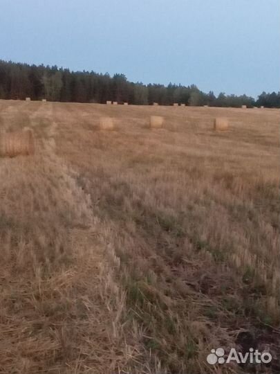 Продам солому в рулонах