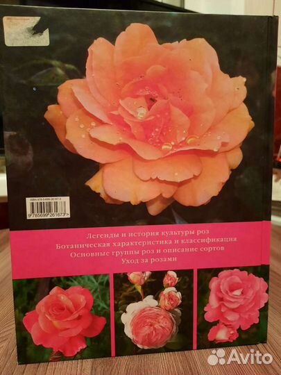 Энциклопедия Розы