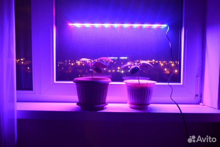 Фито лампы для Теплиц и растений