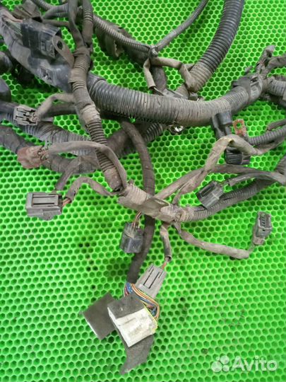 Жгут проводов двигателя Mitsubishi Carisma