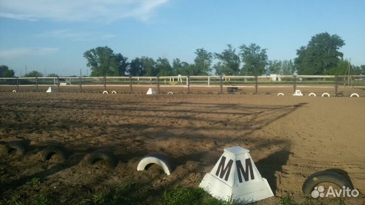 Постой лошадей, верховые прогулки