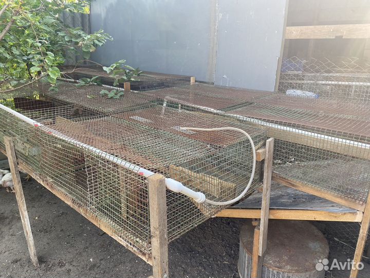 Клетка для кролика