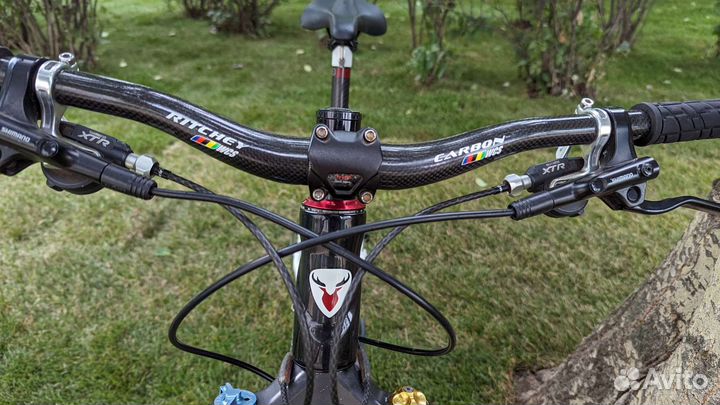 Rotwild двухподвес