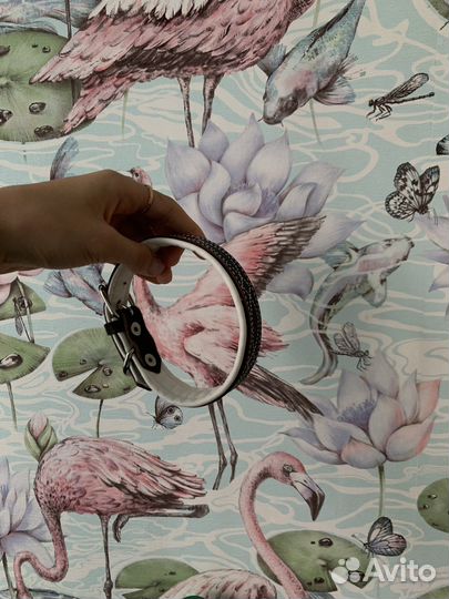 Амуниция для собак