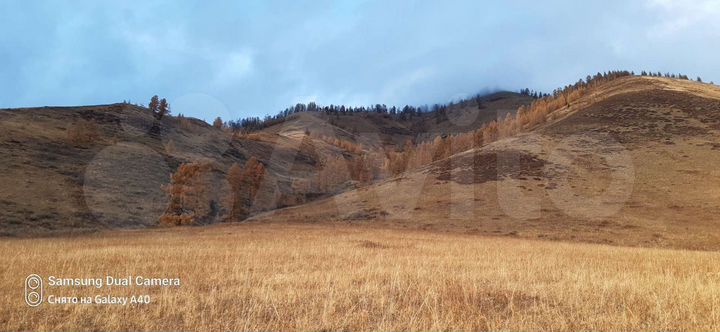 Участок 10 га (СНТ, ДНП)