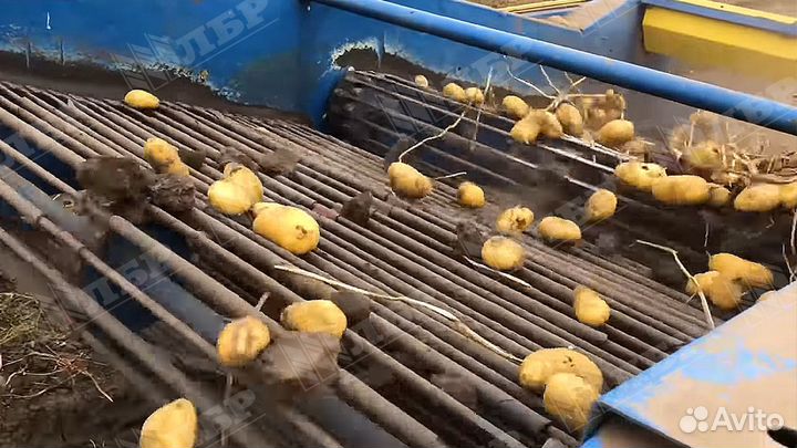 Копатель корнеплодов Агропромсельмаш УКВ-2-01, 2023