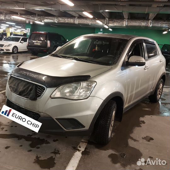 Отключение егр SsangYong Rexton Y250, прошивка EGR