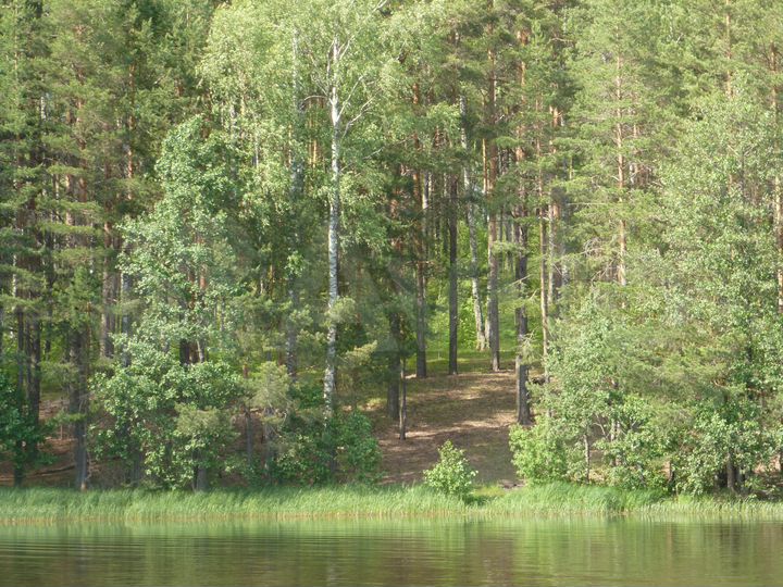 Участок 18 сот. (ИЖС)