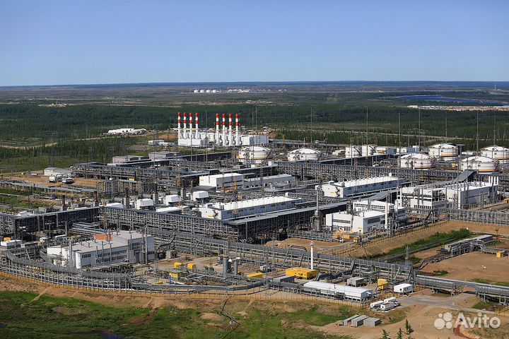 Организации, подрядчику “Роснефти”, требуются: