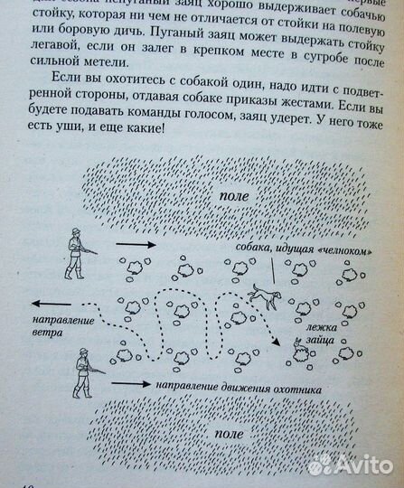 Сугробов В. Охота на зайца