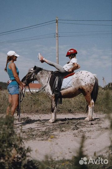 Продам пони