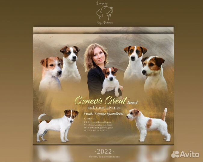 Презентации/дизайн для собак и заводчиков