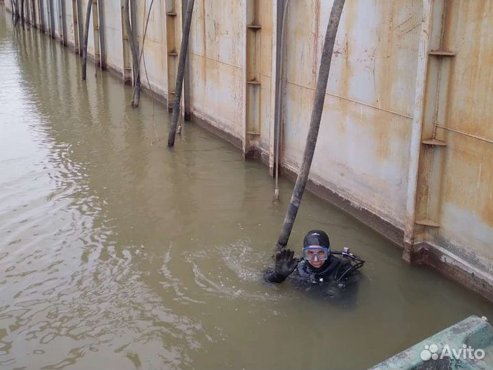 Водолазные,подводно-технические,поисковые работы