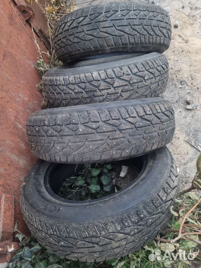 Tigar Prima 185/65 R15