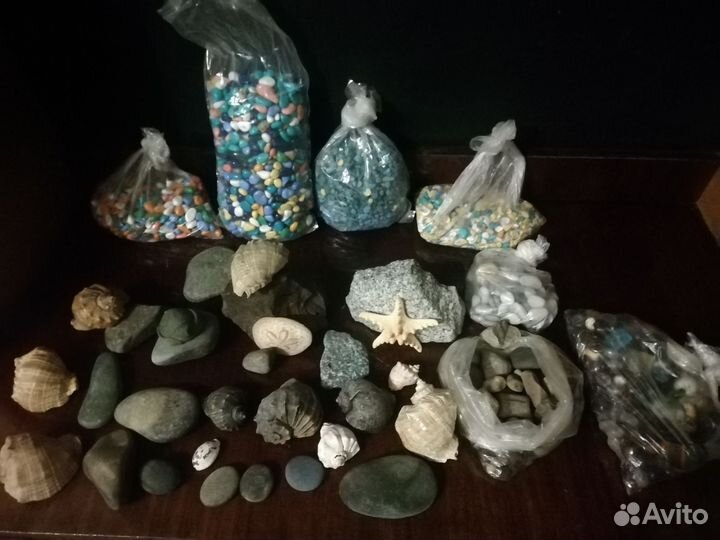 Всё для аквариума