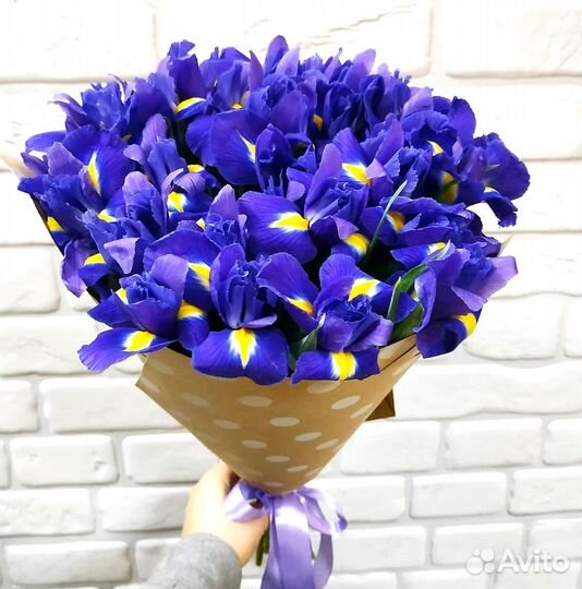 Букеты из Ирисов. Доставка/Самовывоз